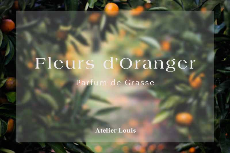 Un nouveau parfum: Fleur d'Oranger-Atelier Louis