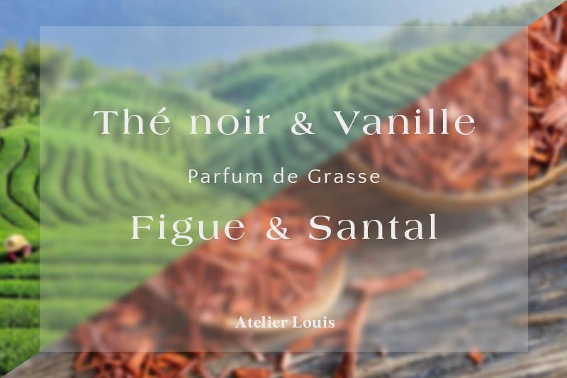 Deux nouvelles senteurs pour accueillir l'automne !-Atelier Louis